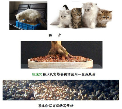 信陽市平橋區天梯珍珠巖礦業 牲畜飼養中的天然創新應用